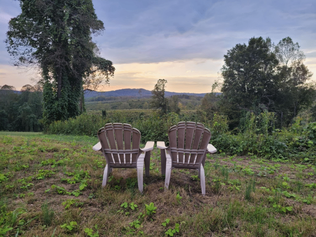 How much land do you need to homestead? a complete guide