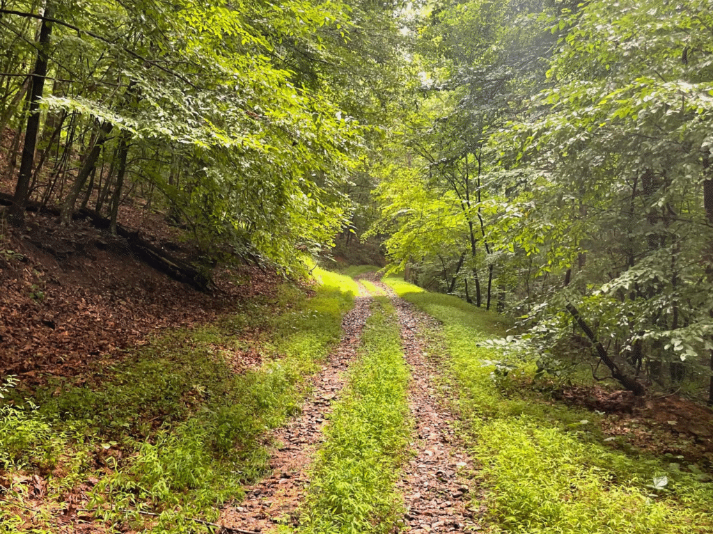 How much land do you need to start homesteading and off grid life ? 2025
