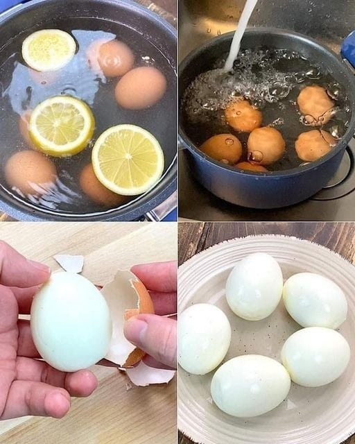 Chickens, Eggs & off grid living