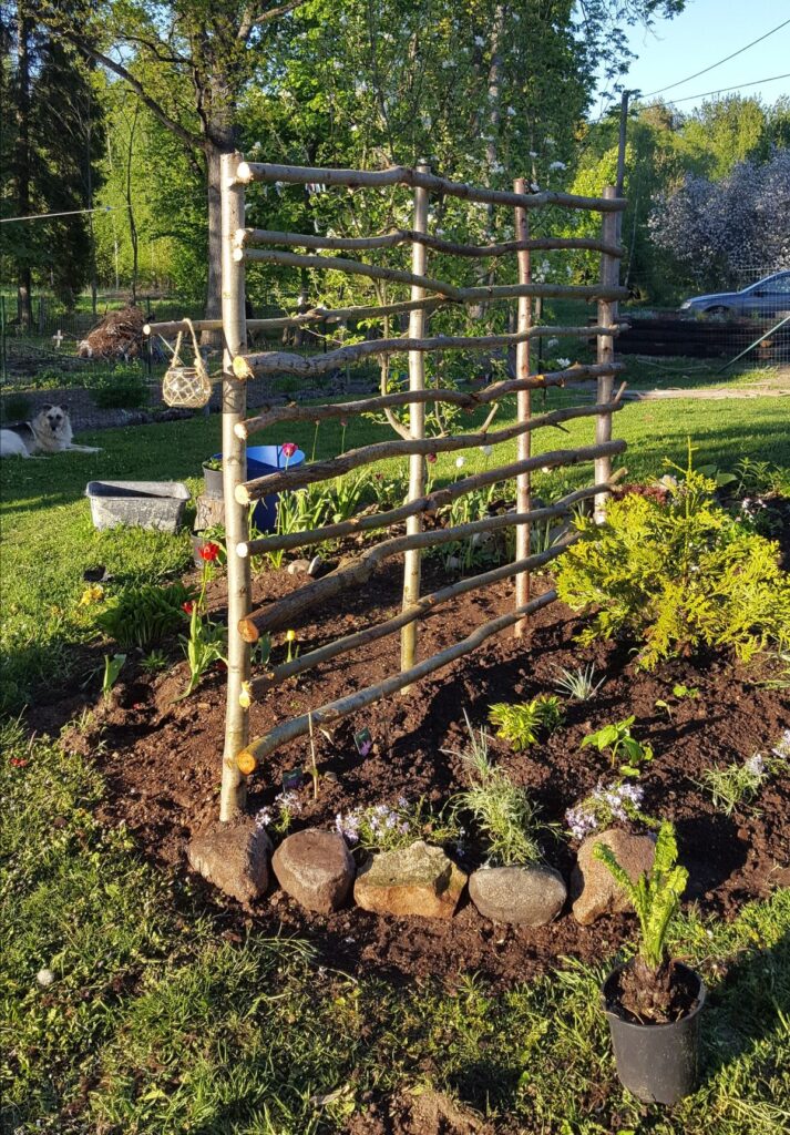 Preparing your homestead
