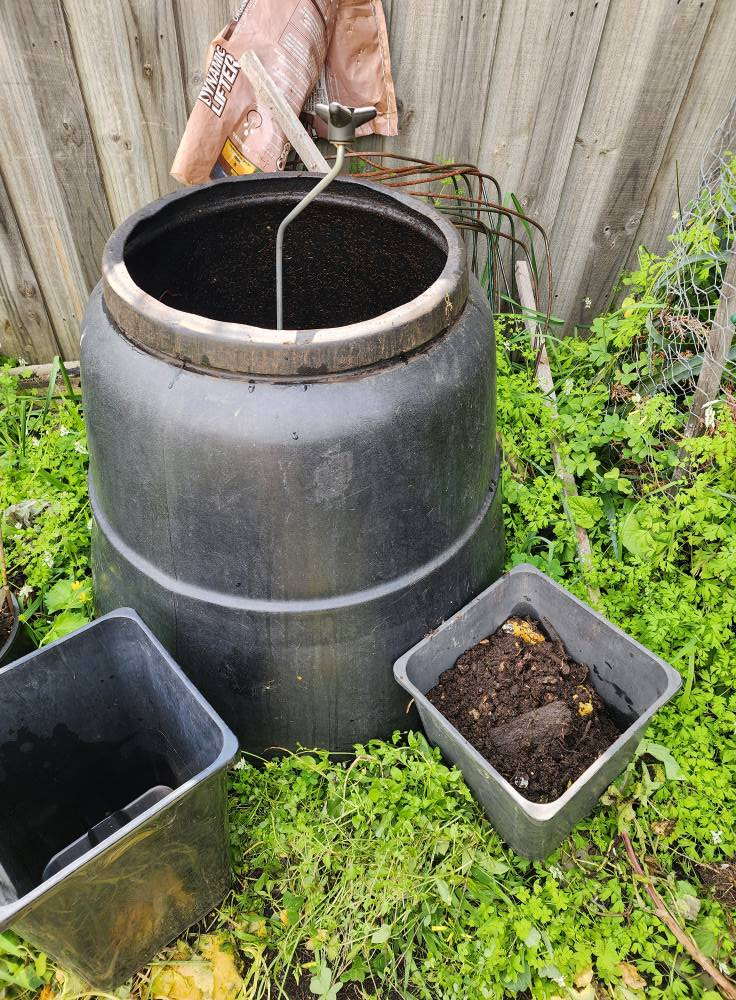 how to start a homestead with no land 2026