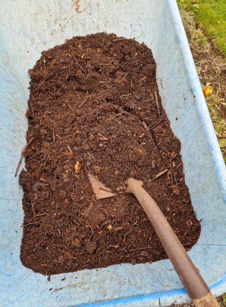 Backyard homesteading: How to be self sufficiency at home 2026