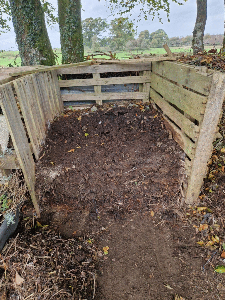 Homestead without property: small space gardening and sustainable living for beginners in 2026