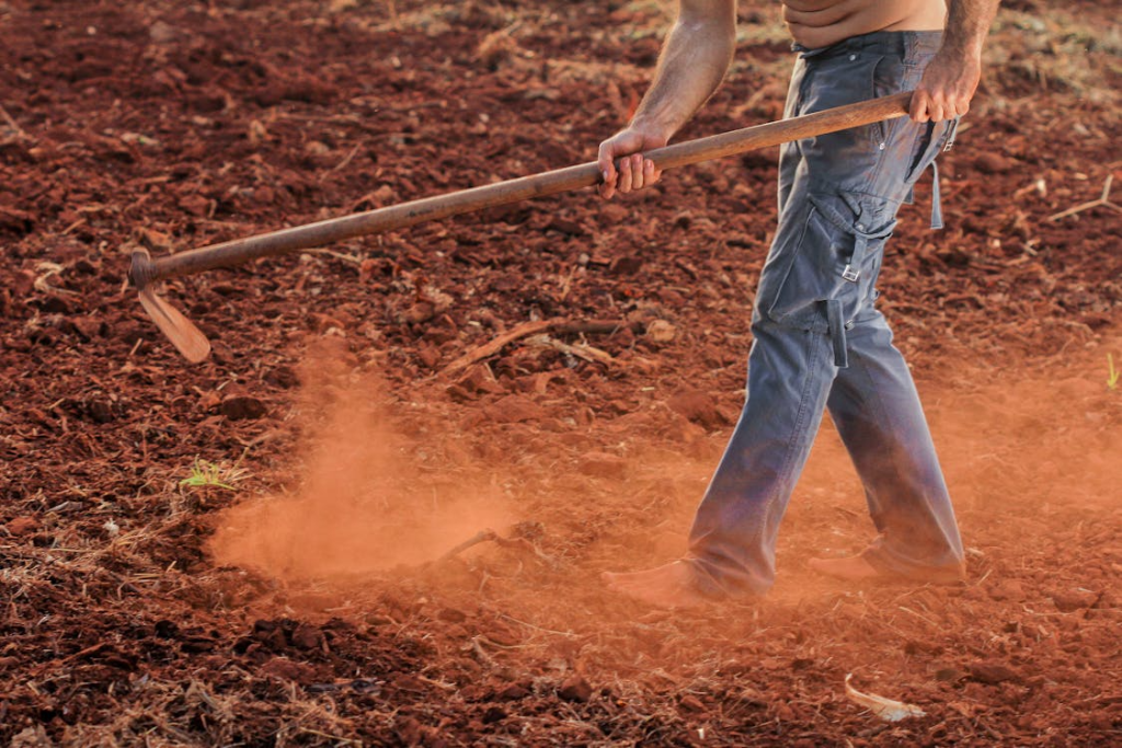 Living off the grid is physical work