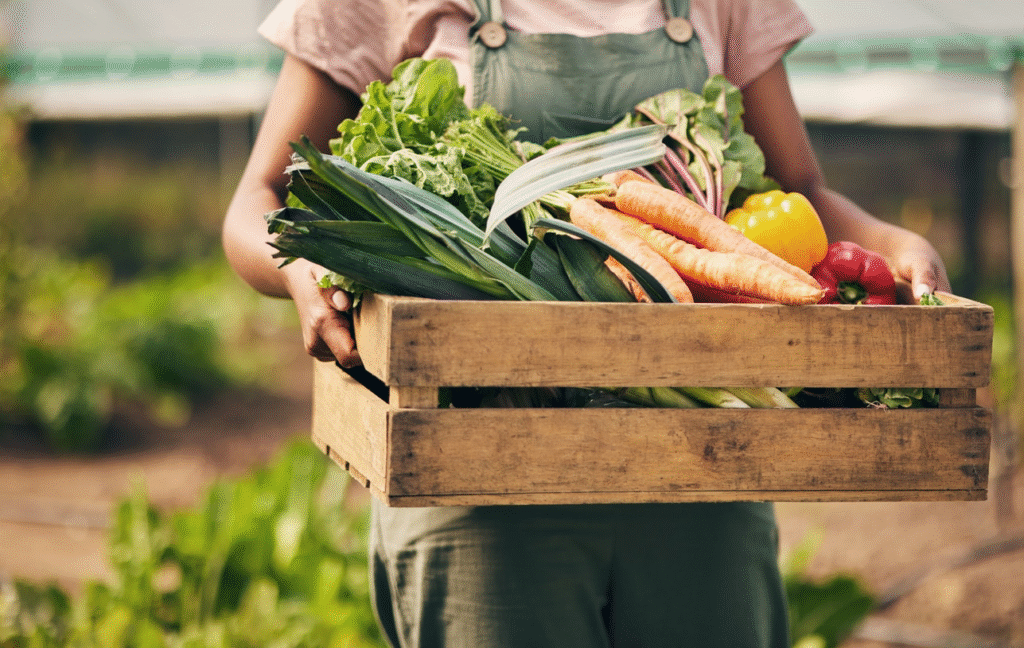 Off grid refrigeration and cooking solutions
