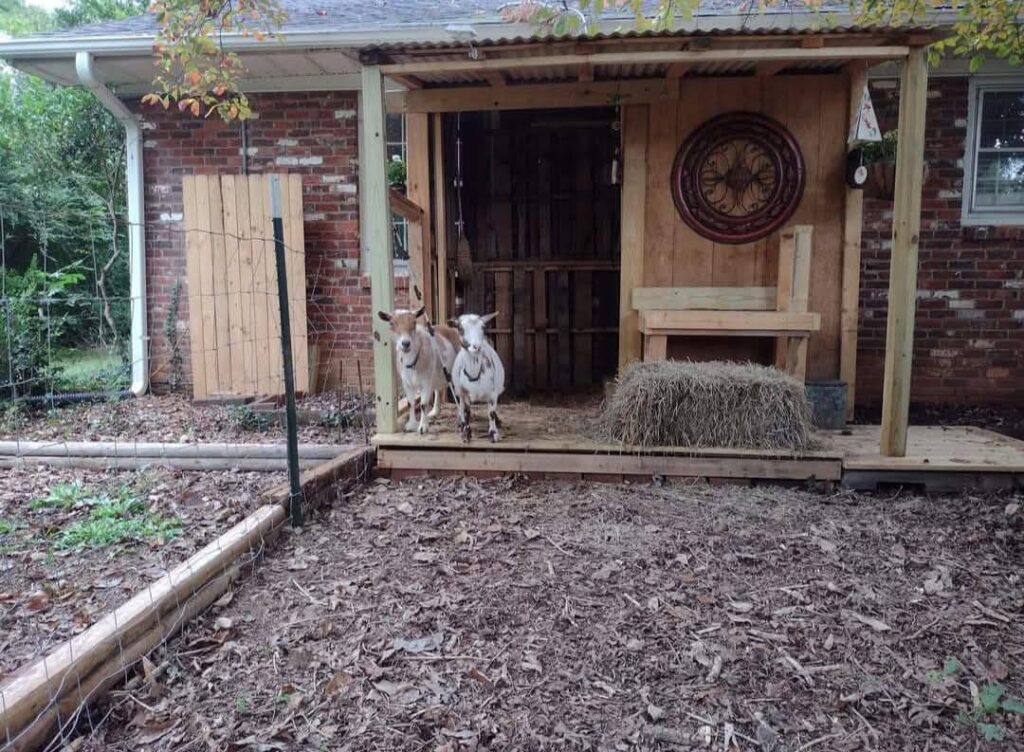 Building the perfect backyard kitchen