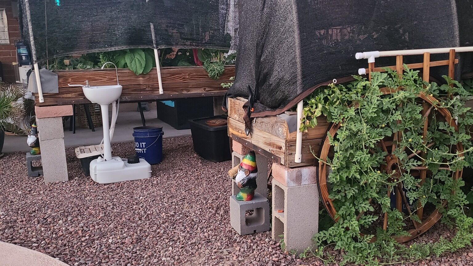 Designing your backyard for self-sufficiency