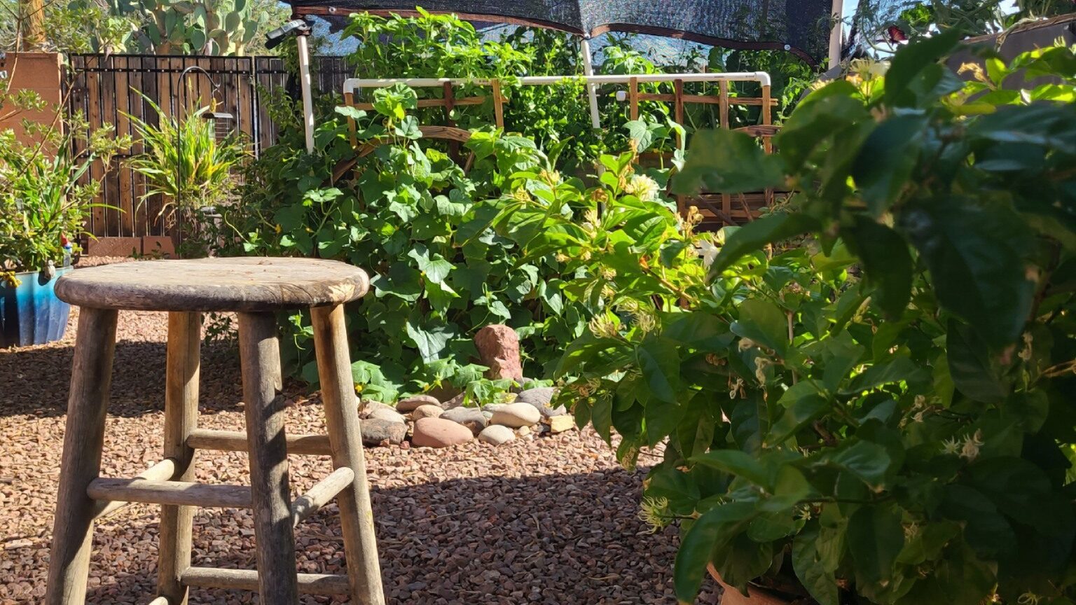 Building the perfect backyard kitchen