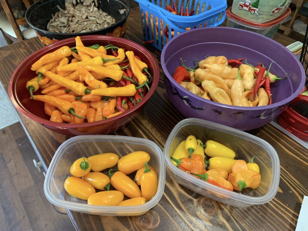 Growing food in small spaces